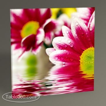 Pembe Papatyalar Tablo