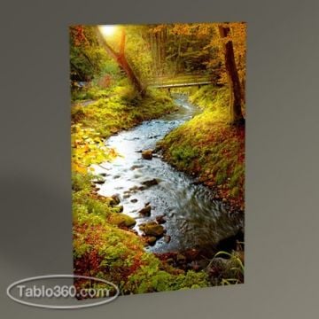 Ormanda Sonbahar Tablo