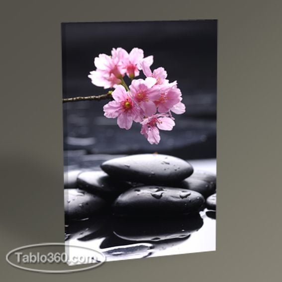 Kiraz Çiçekleri Tablo