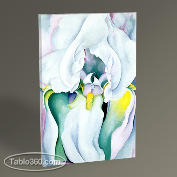 Georgia O'Keeffe Light Iris
