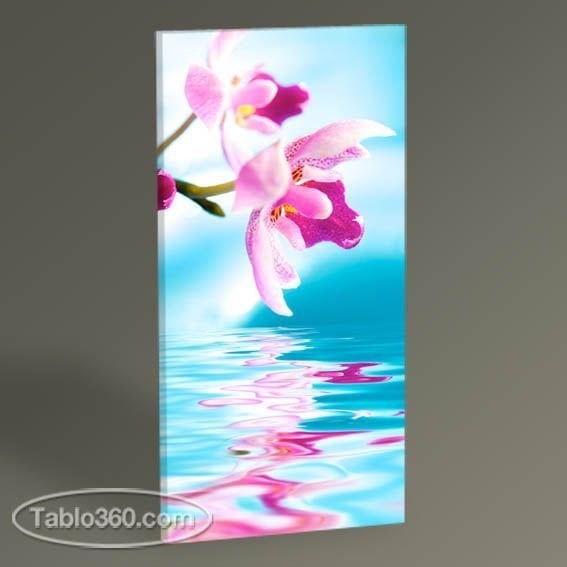 Orchid Flower II Tablo