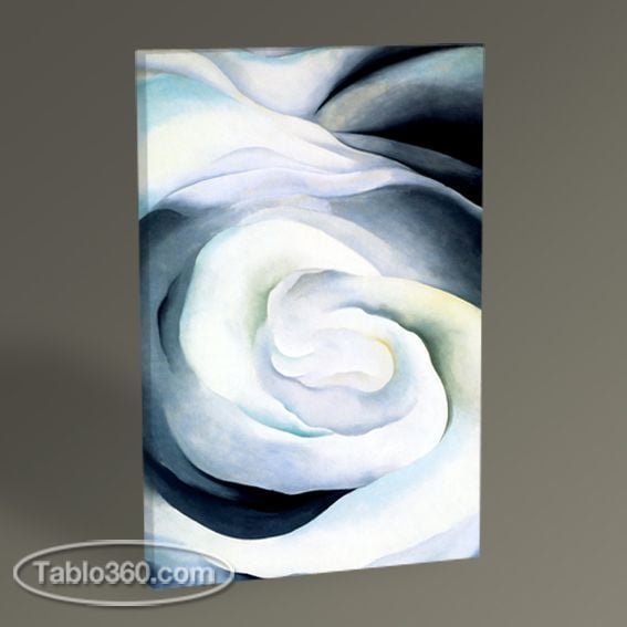 Georgia O'Keeffe Abstraction White Rose