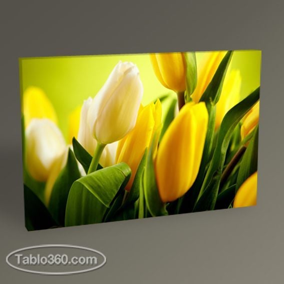Sarı Laleler Tablo