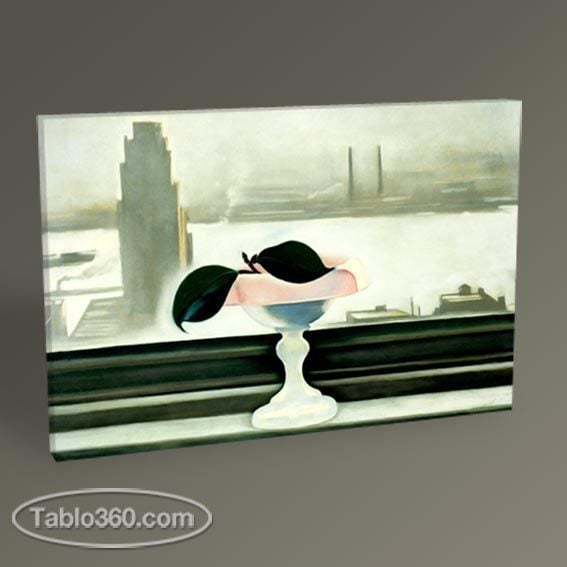 Georgia O'Keeffe Pink Dish and Green Leaves