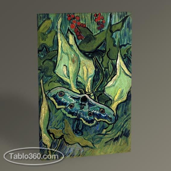 Vincent Van Gogh Ölü Kelebek Tablo