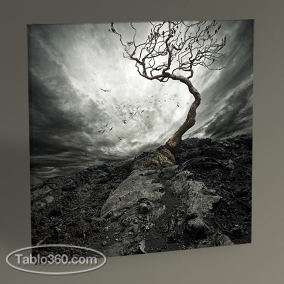 Lonely Tree Tablo