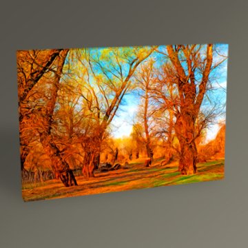 Orman Manzarası Kanvas Tablo