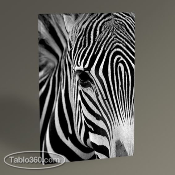 Zebra Tablo