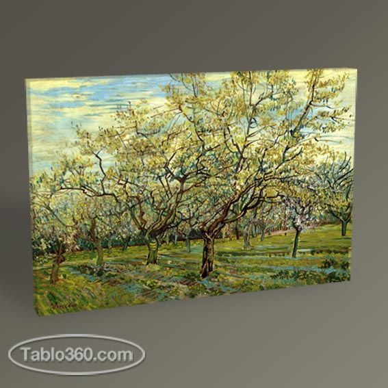 Vincent Van Gogh Beyaz Meyve Bahçesi Tablo