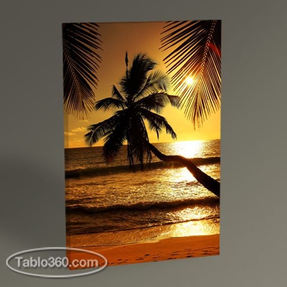 Palmiye Ağacı Tablo