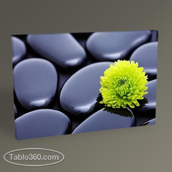 Green Flower Tablo