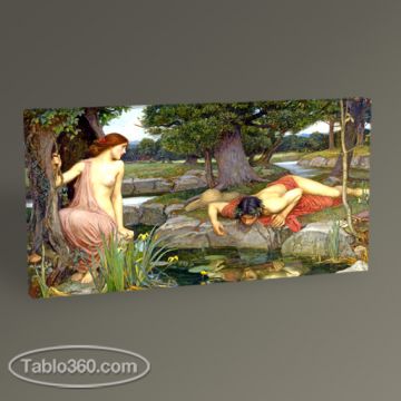 John William Godward Waterhouse Echo and Narcissus