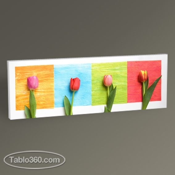 Dört Renkli Lale Tablo