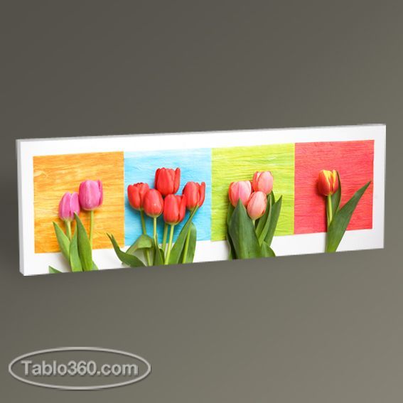 Dört Renkli Lale Tablo
