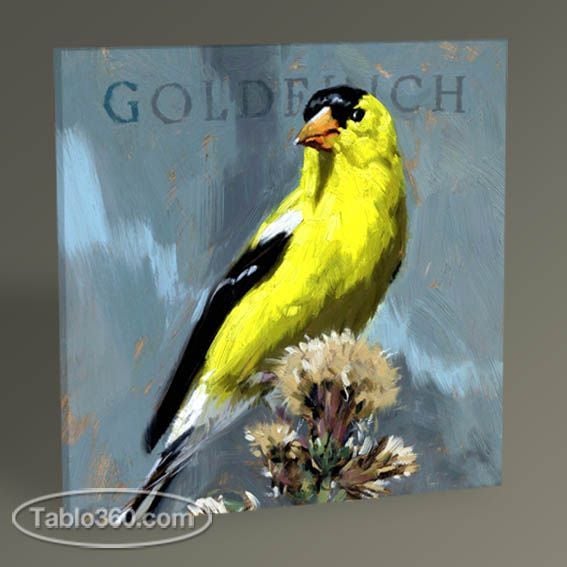 Goldfinch Tablo