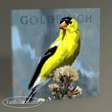 Goldfinch Tablo