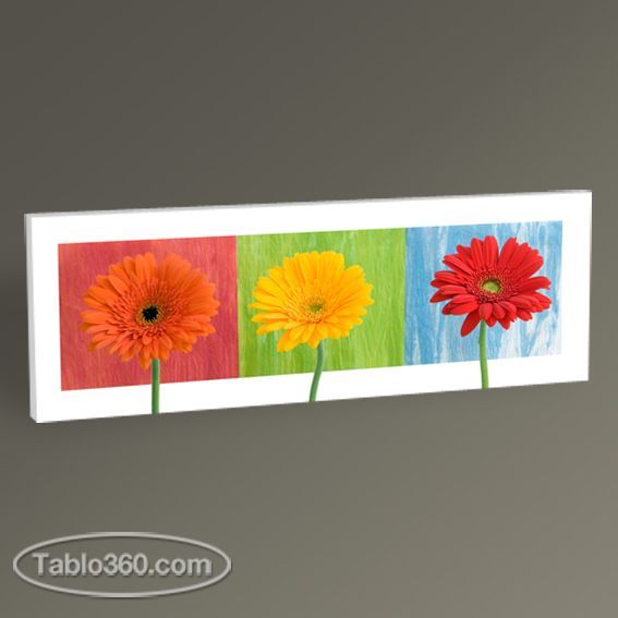 Renkli Çiçekler Tablo