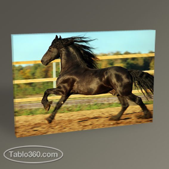 Siyah Koşan At Tablo