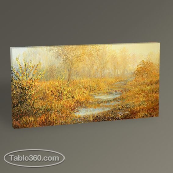 Sonbahar Orman Manzarası