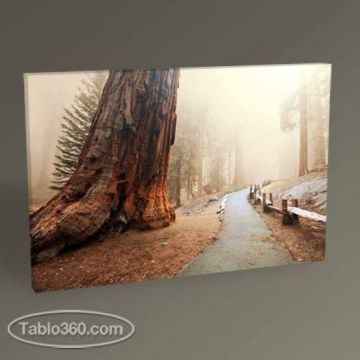 Sisli Orman Yolu Tablo