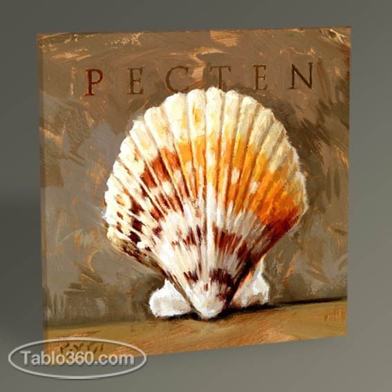 Pecten Tablo