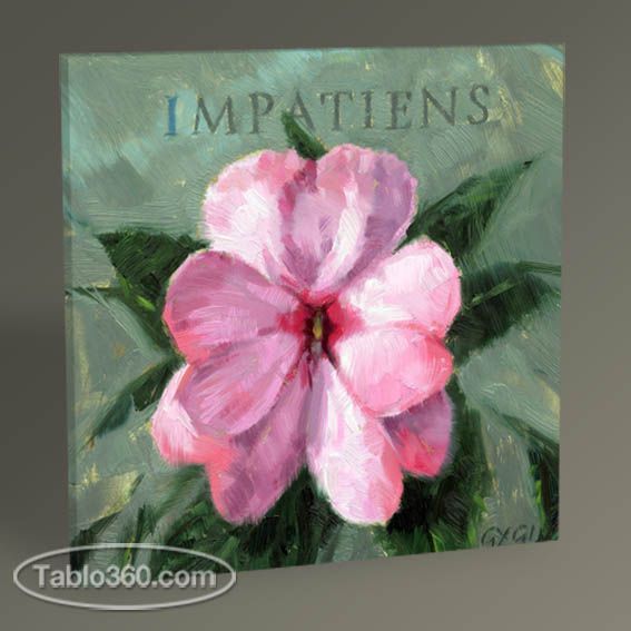 Impatiens Tablo
