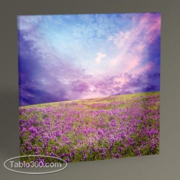 Leylak Tarlası Tablo
