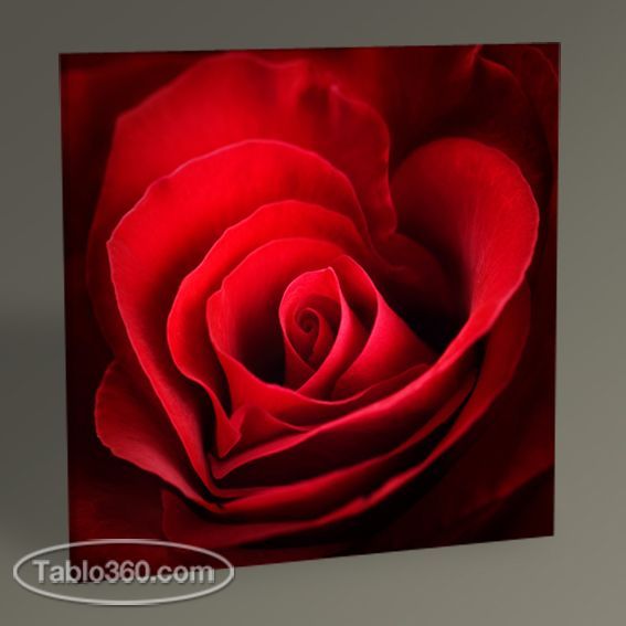 Red Rose Tablo