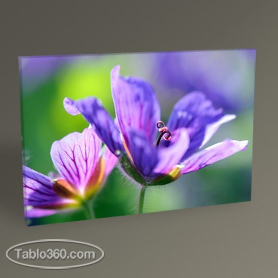 Mavi Çiçek Tablo
