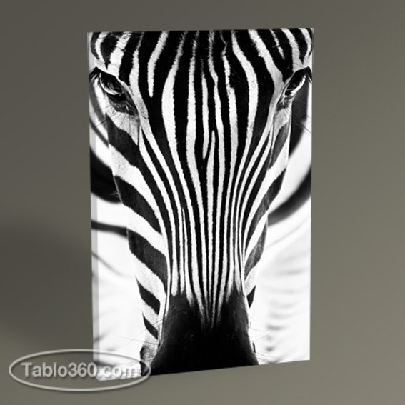 Zebra Tablo