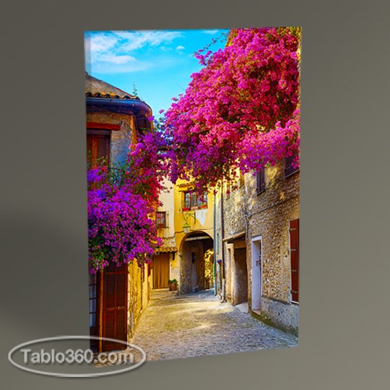 Provence Tablo