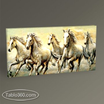Wild Horses Tablo