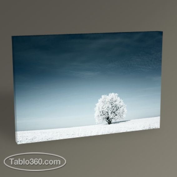Blue Sky and the Frozen Tree Tablo