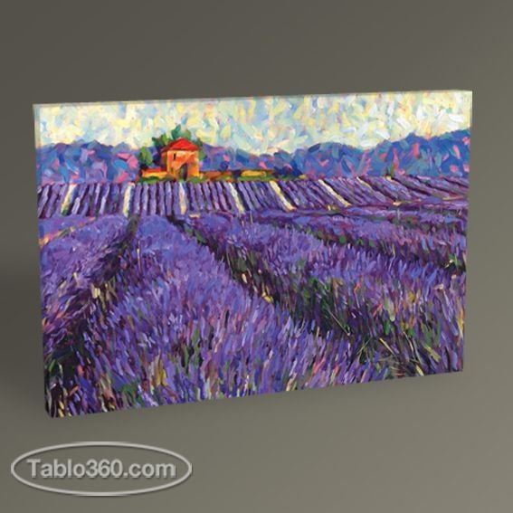 Lavanta Tarlası Tablo