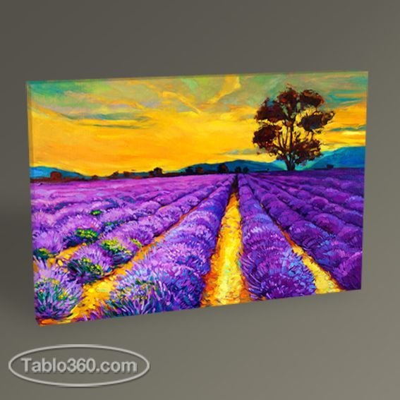 Lavanta Tarlası Tablo