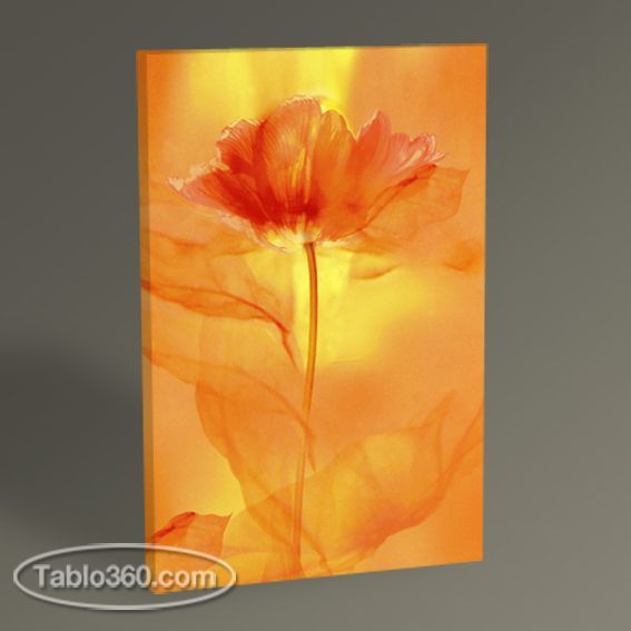 Transparence II Tablo