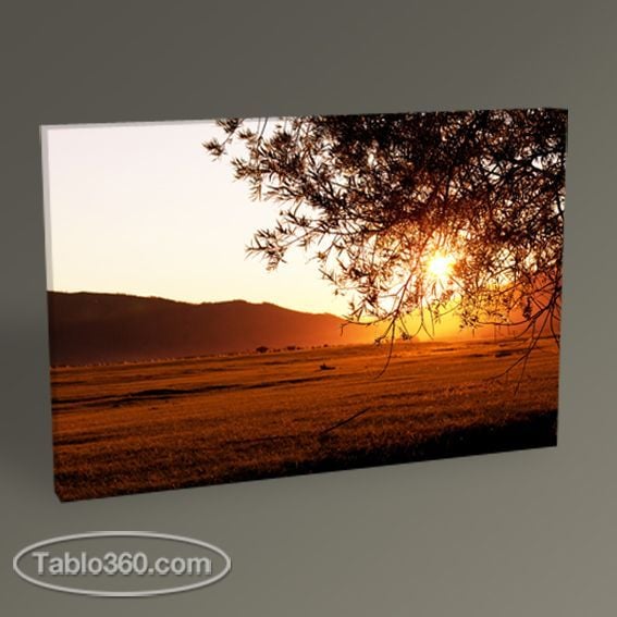 Sunset Scene Tablo