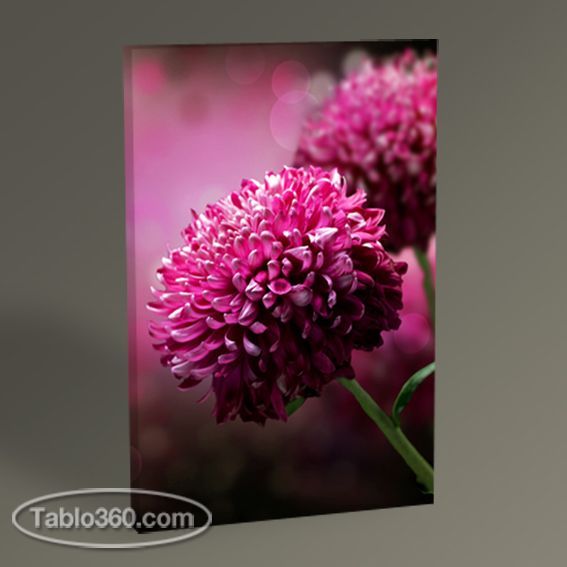 Sonbahar Çiçekleri Tablo