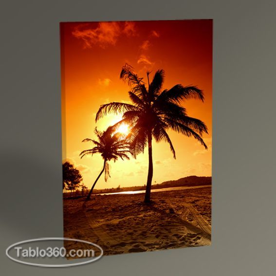 Palm Trees and Sunset Tablo