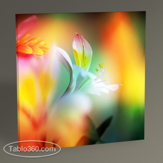 Beautiful Flowers Tablo