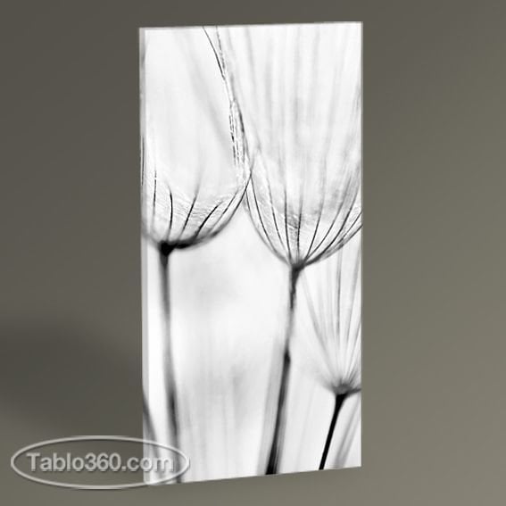 Karahindiba Çiçeği Tablo