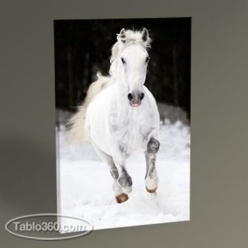 White Horse Tablo
